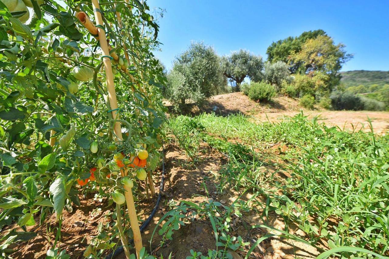 Il Molino Villa Porto Ercole  Bagian luar foto